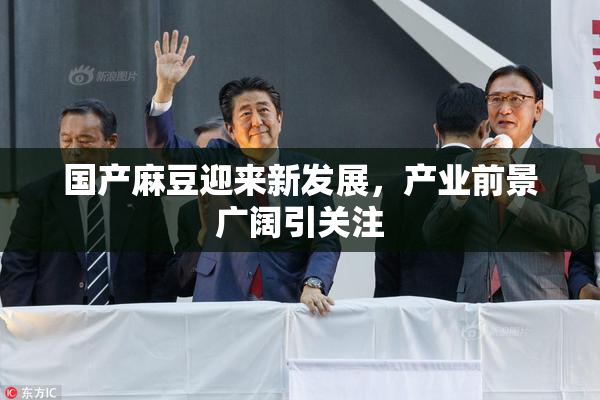 国产麻豆迎来新发展，产业前景广阔引关注