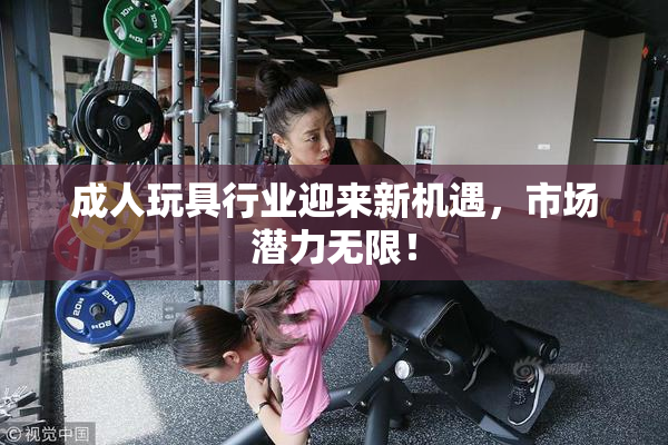 成人玩具行业迎来新机遇，市场潜力无限！