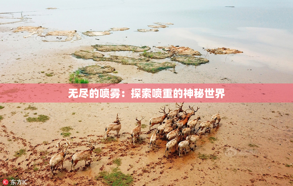 无尽的喷雾：探索喷重的神秘世界