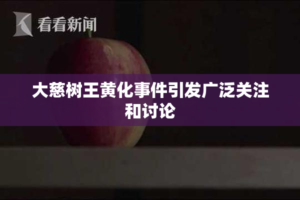 大慈树王黄化事件引发广泛关注和讨论