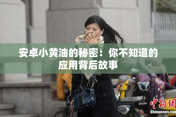 安卓小黄油的秘密：你不知道的应用背后故事