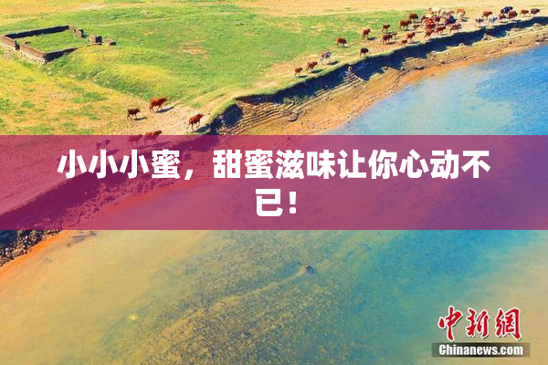 小小小蜜，甜蜜滋味让你心动不已！