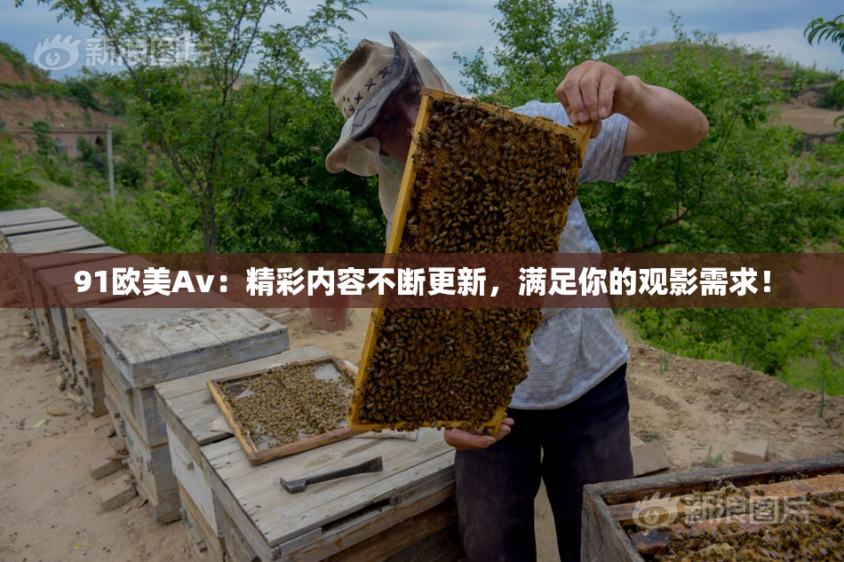 91欧美Av：精彩内容不断更新，满足你的观影需求！