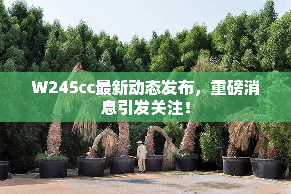 W245cc最新动态发布，重磅消息引发关注！