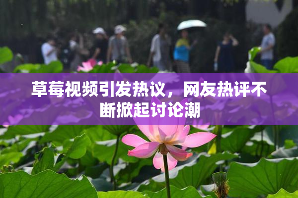 草莓视频引发热议，网友热评不断掀起讨论潮