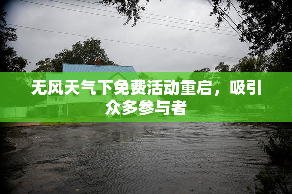 无风天气下免费活动重启，吸引众多参与者