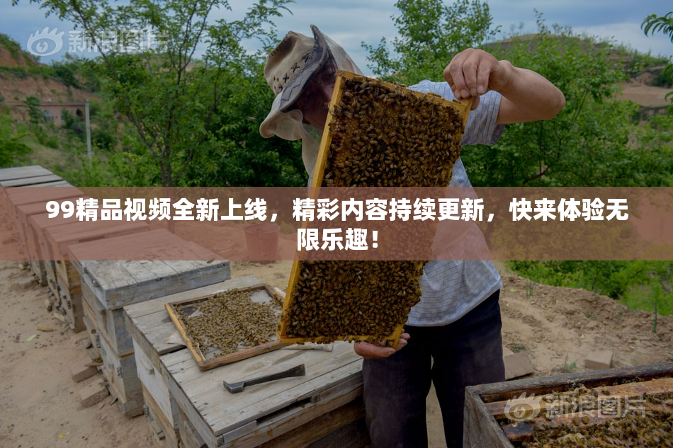 99精品视频全新上线，精彩内容持续更新，快来体验无限乐趣！
