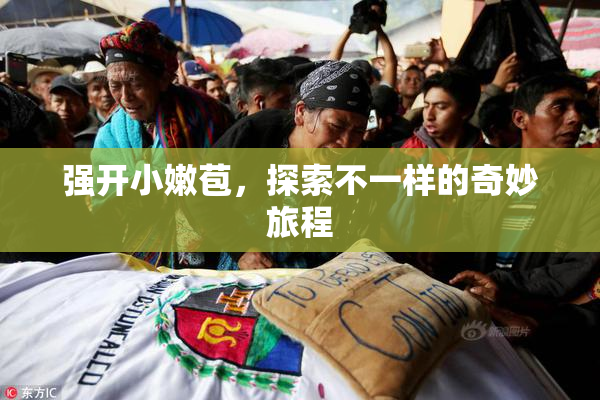 强开小嫩苞，探索不一样的奇妙旅程