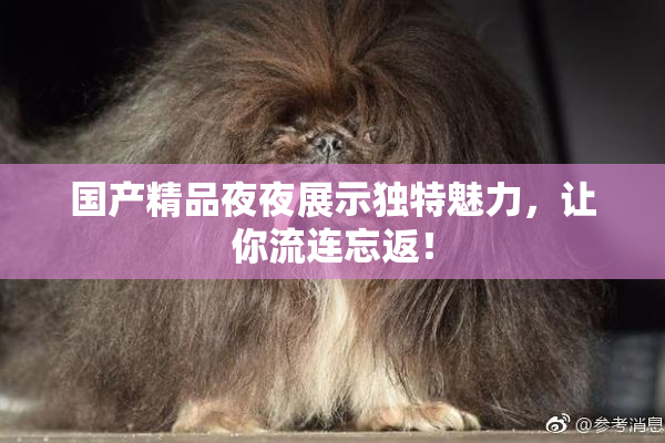 国产精品夜夜展示独特魅力，让你流连忘返！