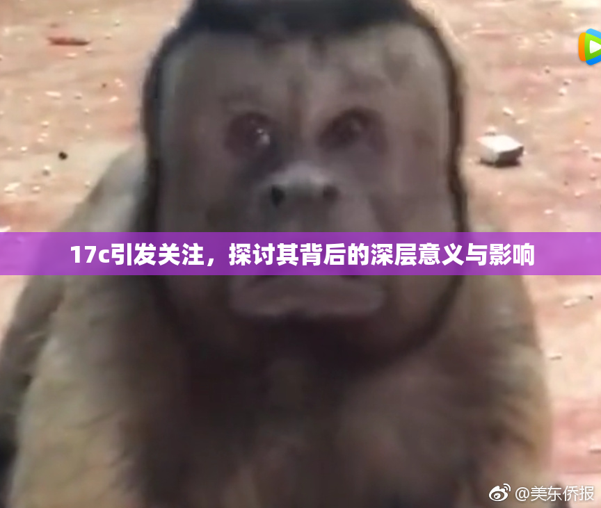 17c引发关注，探讨其背后的深层意义与影响