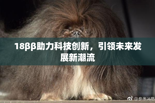 18ββ助力科技创新，引领未来发展新潮流