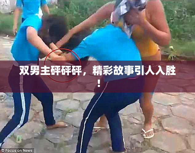 双男主砰砰砰，精彩故事引人入胜！