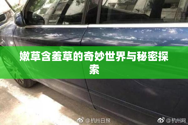 嫩草含羞草的奇妙世界与秘密探索