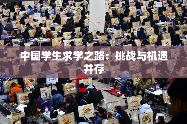 中国学生求学之路：挑战与机遇并存