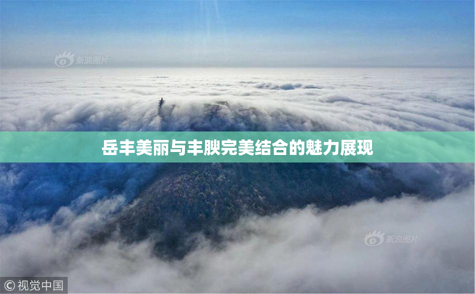 岳丰美丽与丰腴完美结合的魅力展现