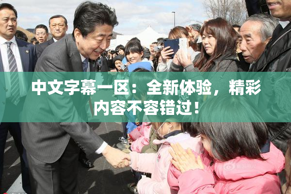 中文字幕一区：全新体验，精彩内容不容错过！