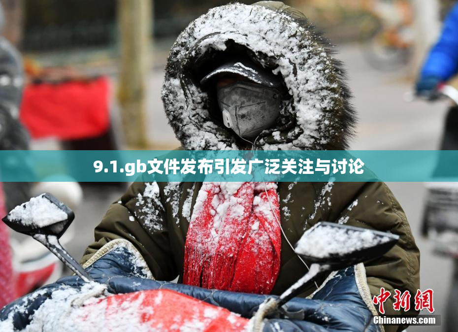 9.1.gb文件发布引发广泛关注与讨论