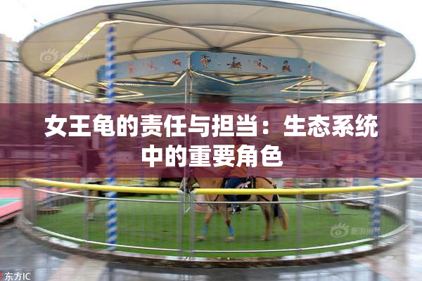 女王龟的责任与担当：生态系统中的重要角色