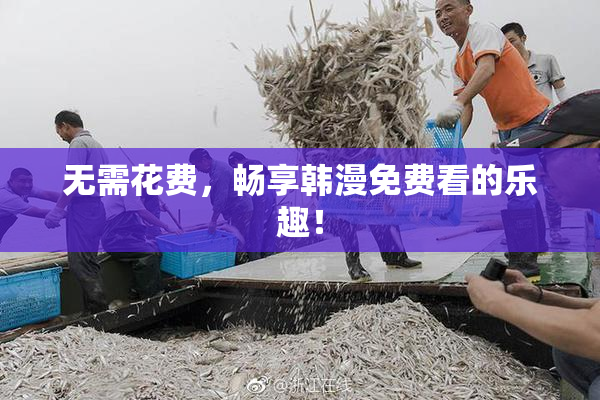 无需花费，畅享韩漫免费看的乐趣！