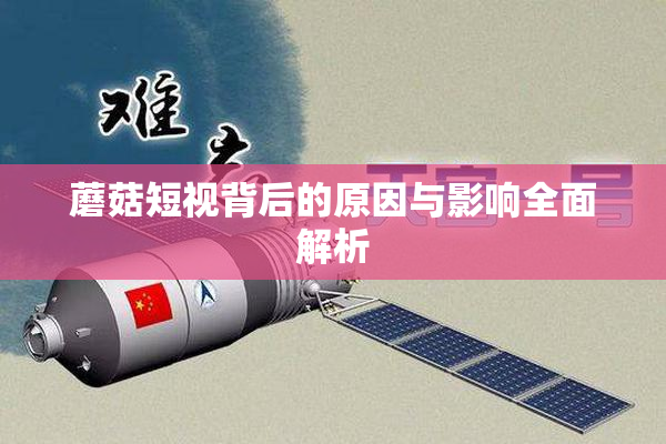蘑菇短视背后的原因与影响全面解析