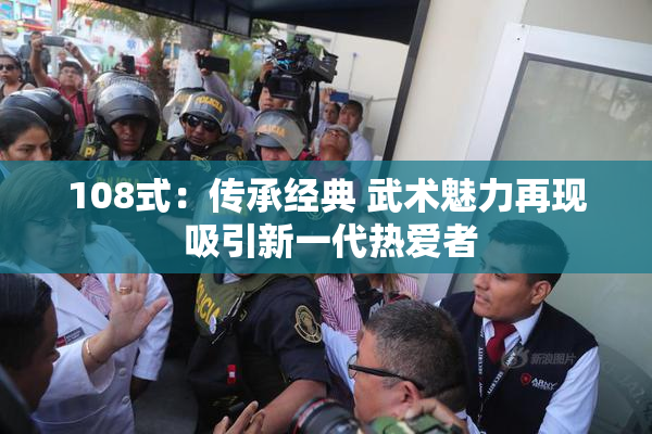 108式：传承经典 武术魅力再现 吸引新一代热爱者