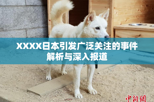 XXXX日本引发广泛关注的事件解析与深入报道