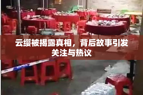 云缨被揭露真相，背后故事引发关注与热议