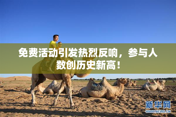 免费活动引发热烈反响，参与人数创历史新高！