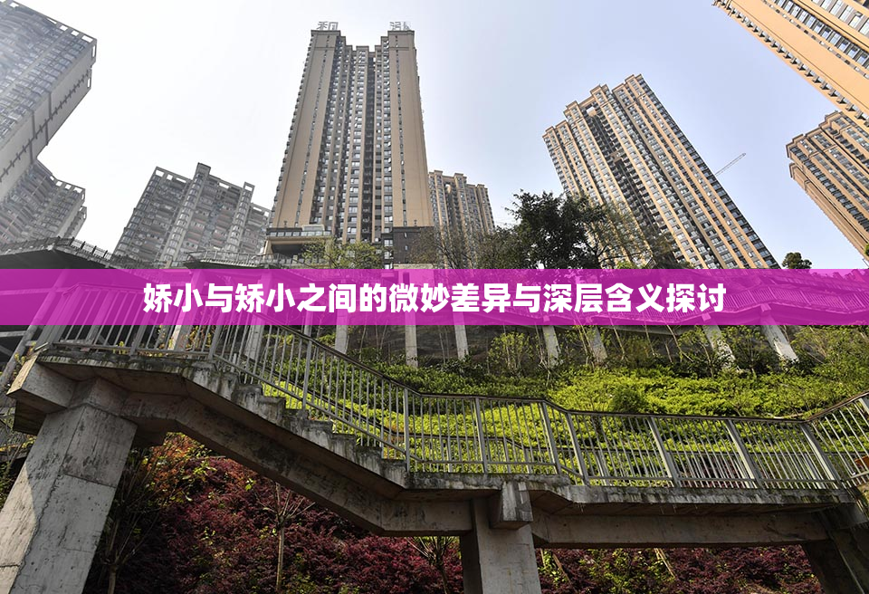 娇小与矫小之间的微妙差异与深层含义探讨