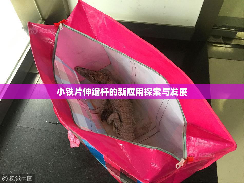 小铁片伸缩杆的新应用探索与发展