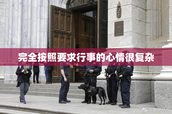 完全按照要求行事的心情很复杂