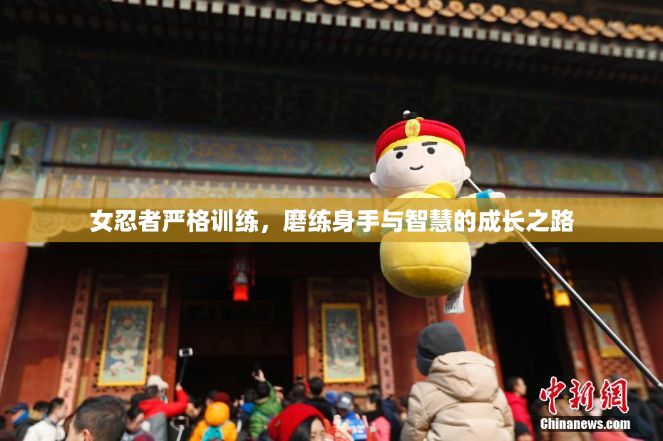 女忍者严格训练，磨练身手与智慧的成长之路