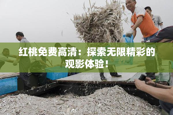 红桃免费高清：探索无限精彩的观影体验！