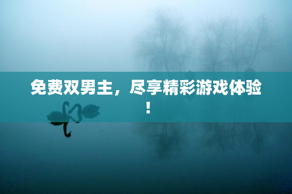 免费双男主，尽享精彩游戏体验！