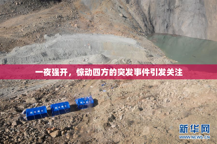 一夜强开，惊动四方的突发事件引发关注