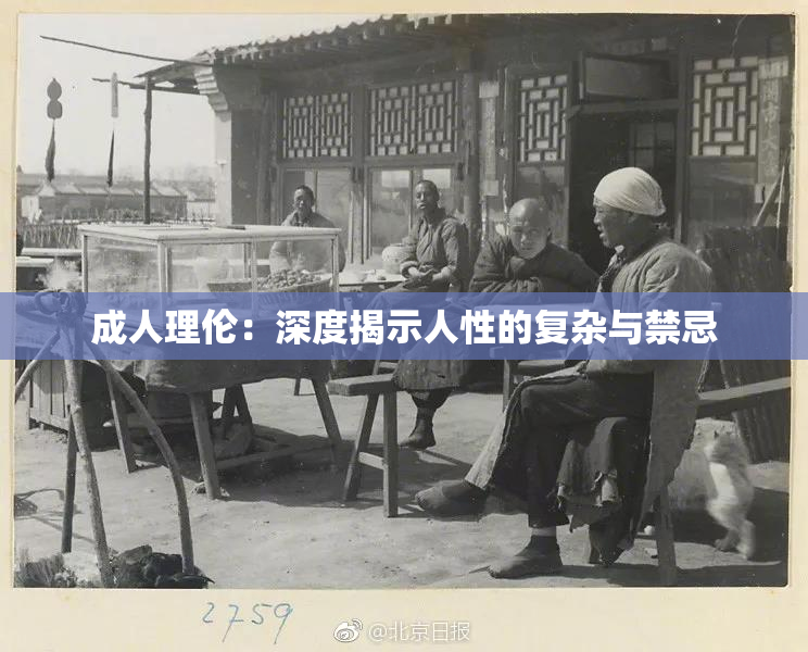 成人理伦：深度揭示人性的复杂与禁忌