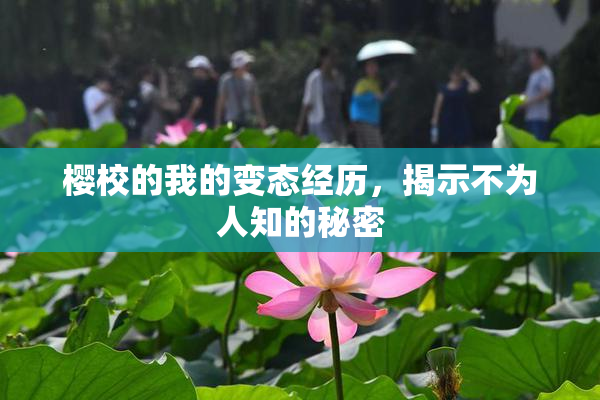 樱校的我的变态经历，揭示不为人知的秘密