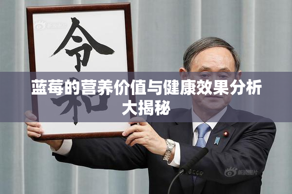 蓝莓的营养价值与健康效果分析大揭秘