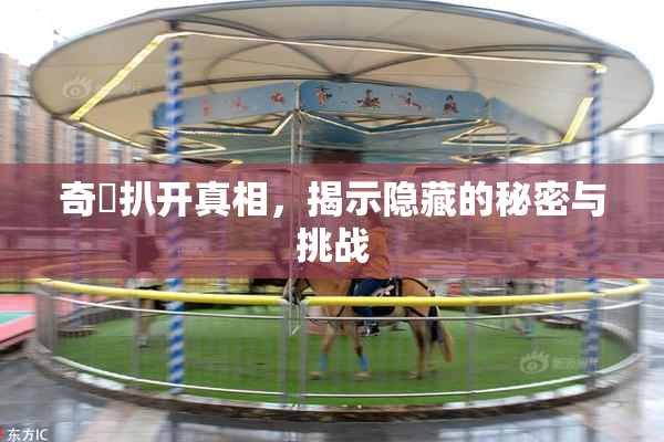 奇犽扒开真相，揭示隐藏的秘密与挑战