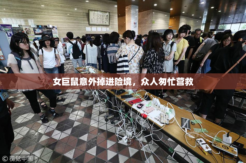 女巨鼠意外掉进险境，众人匆忙营救