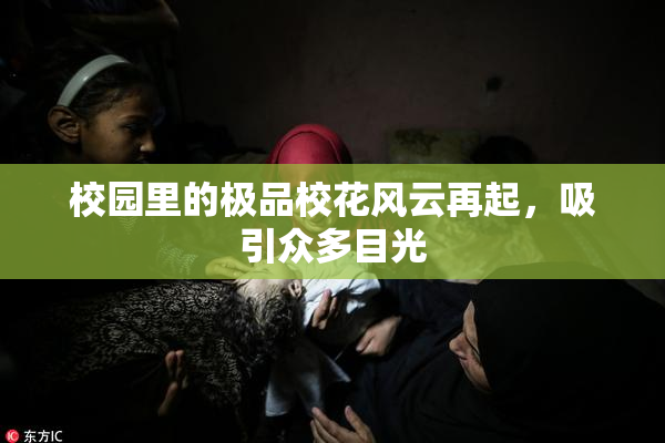 校园里的极品校花风云再起，吸引众多目光
