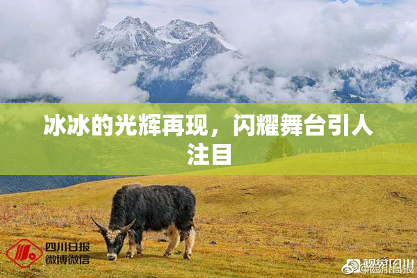 冰冰的光辉再现，闪耀舞台引人注目