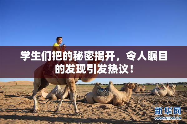 学生们把的秘密揭开，令人瞩目的发现引发热议！