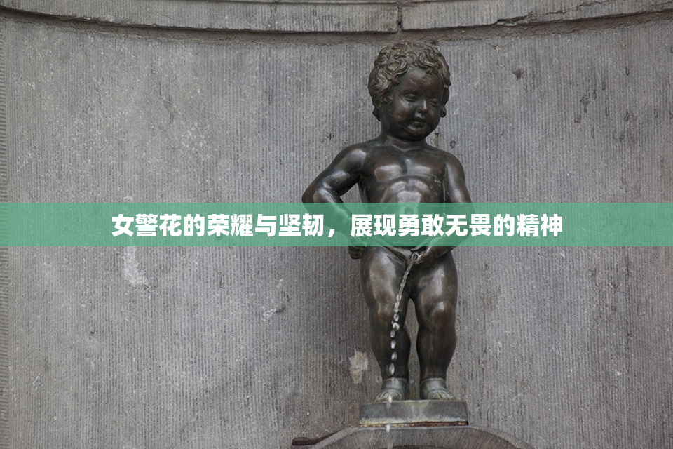 女警花的荣耀与坚韧，展现勇敢无畏的精神