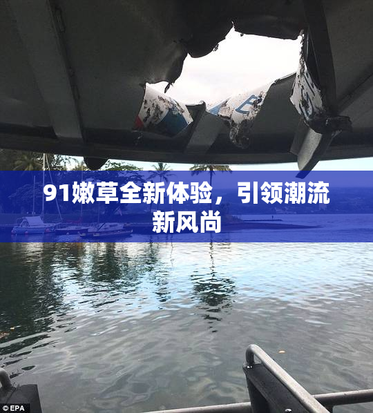 91嫩草全新体验，引领潮流新风尚