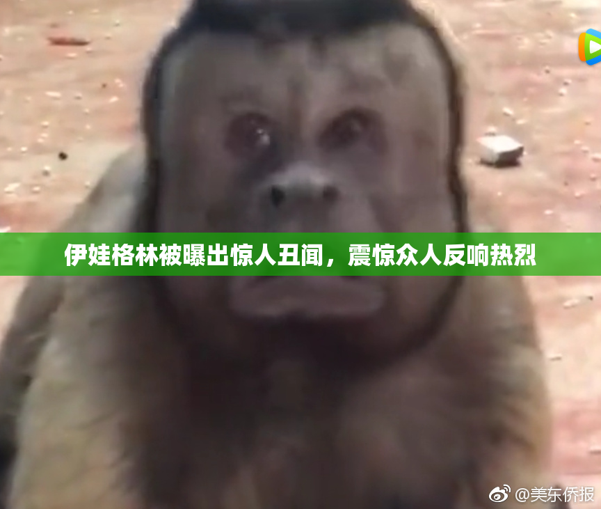 伊娃格林被曝出惊人丑闻，震惊众人反响热烈