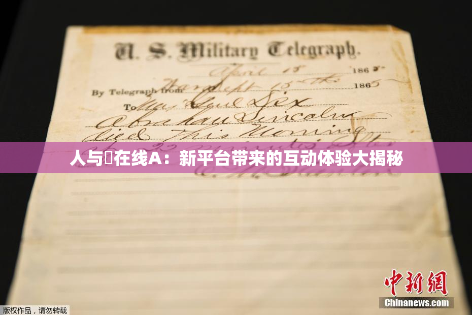 人与嘼在线A：新平台带来的互动体验大揭秘