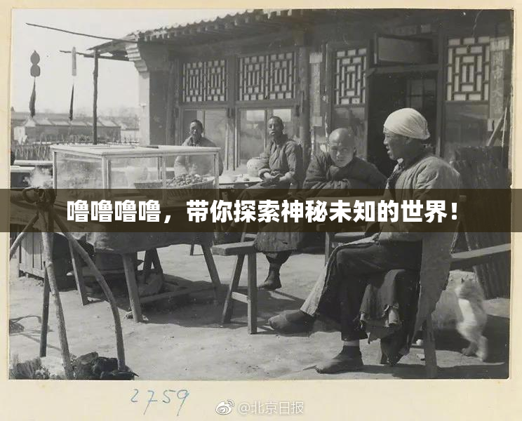 噜噜噜噜，带你探索神秘未知的世界！