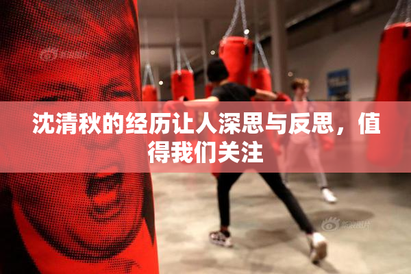 沈清秋的经历让人深思与反思，值得我们关注