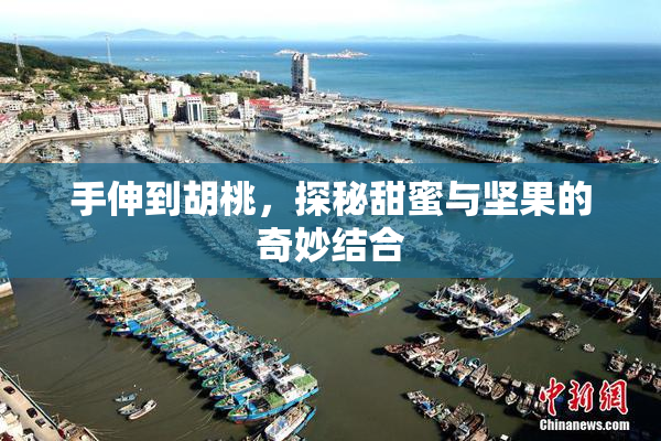 手伸到胡桃，探秘甜蜜与坚果的奇妙结合